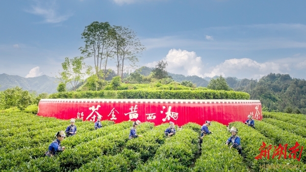 @湖南日报特刊吉祥首府奏强音(图7)