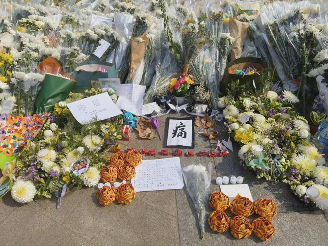 的面孔与声音宏福苑大火后(图12)